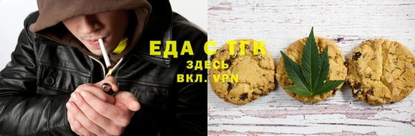гидра Гусев