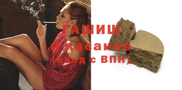 гидра Гусев