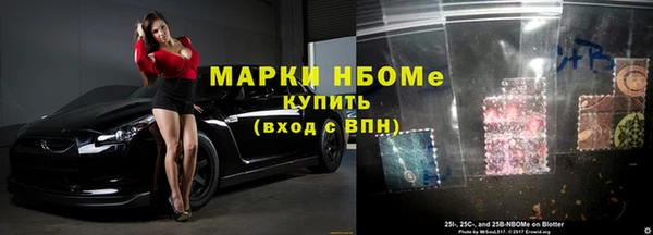 гидра Гусев