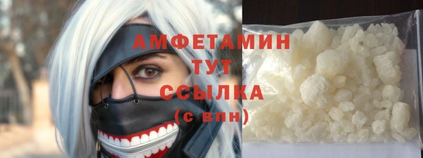 гидра Гусев