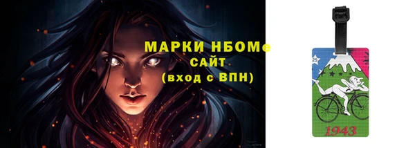 гидра Гусев