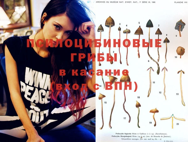 мефедрон Гусиноозёрск