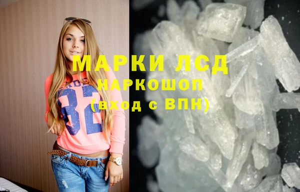 гидра Гусев