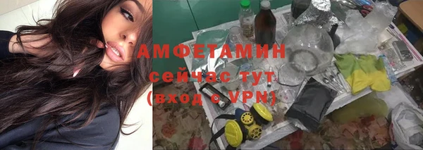 гидра Гусев